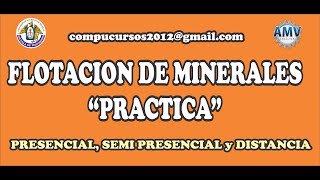 FLOTACION DE MINERALES  PRACTICA [upl. by Asserat545]