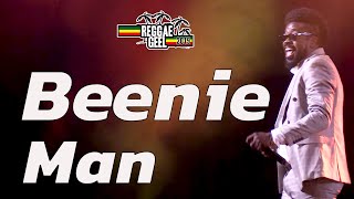 Beenie Man Live  Reggae Geel Festival Belgium 2019 [upl. by Andaira]