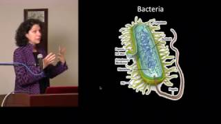 The Secret Language of Bacteria  An ASM quotMicrobes After Hoursquot Event [upl. by Ahsied]