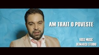 Florin Salam  Am trait o poveste oficial audio 2017 [upl. by Arias]