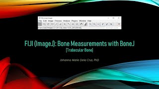 FIJI ImageJ Bone Analysis with BoneJ2 Trabecular Bone [upl. by Benil118]