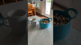 MAKING CHOCOLATE DRIZZLED POPCORN ASMR compilation [upl. by Llertnom63]