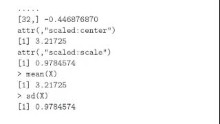 Computing with R  The quotscalequot function [upl. by Attaymik]