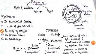 Palynology  Pollen Grain Morphology Significance interaction  BSC final year Botany Paper 1 [upl. by Engelhart]