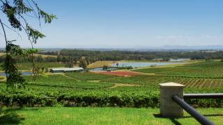 Audrey Wilkinson Vineyard in Hunter Valley Australia [upl. by Nilyahs]