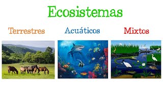 🌎 Los ECOSISTEMAS y sus TIPOS 🐝 Fácil y Rápido  BIOLOGÍA [upl. by Clarkson]