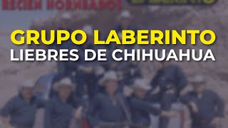 Grupo Laberinto  Liebres de Chihuahua Audio Oficial [upl. by Ysle136]