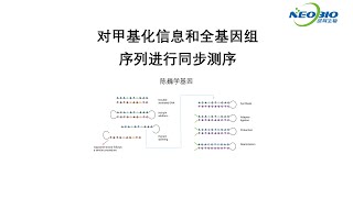 【陈巍学基因】第114期：对甲基化信息和全基因组序列进行同步测序 [upl. by Eelrebma]