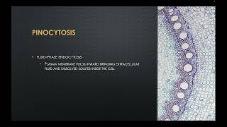 Endocytosis and Exocytosis [upl. by Woodman]