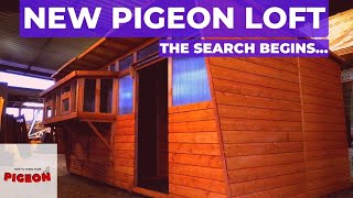 Time To Buy A NEW Pigeon Loft  Ep52 [upl. by Elysia553]