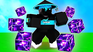 When TanqR uses the TERRA KIT in Roblox Bedwars [upl. by Hermon]