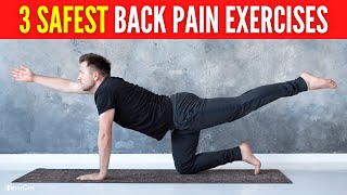 3 Safest Lower Back Pain Exercises FOR LONG LASTING RELIEF [upl. by Dela]