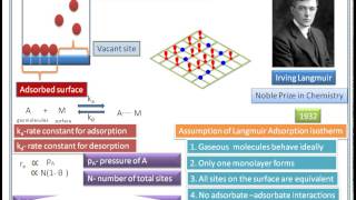 Langmuir adsorption isotherm derivation animation video 12 CHEMISTRYBSc MSc Chemisrey [upl. by Ycnan280]