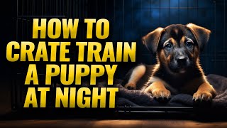 Nighttime Crate Training for Puppies A StepbyStep Guide [upl. by Akirea]