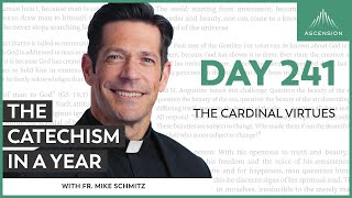 Day 241 The Cardinal Virtues — The Catechism in a Year with Fr Mike Schmitz [upl. by Zia]