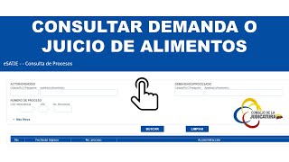 Pasos para consultar demanda o juicio de alimentos [upl. by Renault]