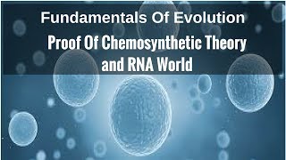 Proof Of Chemosynthetic Theory RNA World [upl. by Filmer977]