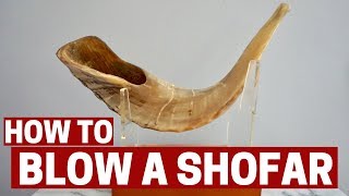 HOW TO BLOW A SHOFAR amp SHOFAR BLESSING [upl. by Nohtanoj]