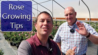 Rose Growing Tips from the Experts [upl. by Anaiq]