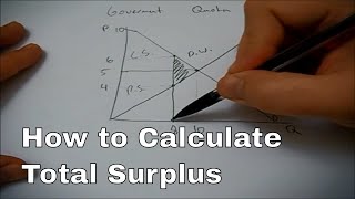 How to calculate total surplus [upl. by Ortiz]