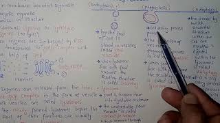 Lysosomes Structure And Functions  Federal And KPK Board  Ali Academy [upl. by Brenza]