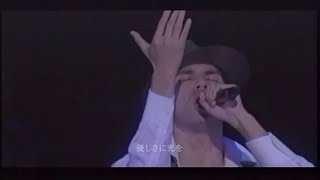 平井堅 “楽園” Live [upl. by Scammon]