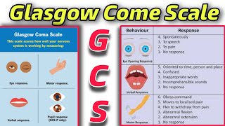 GCS  Understanding Glasgow Coma Scale A Comprehensive Guidequot  Tutor Hanif khan [upl. by Inhsor]