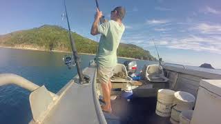 Mackay Cockermouth IslandShallow water reef fishing [upl. by Nomolas]