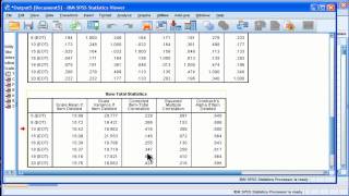 Cronbachs Alpha  SPSS part 2 [upl. by Nonad]