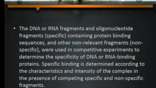 Your StepbyStep Guide to Electrophoretic Mobility Shift Assay [upl. by Emmet579]