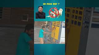 why no dogs in North Korea northkorea facts shortsviral kimjongun [upl. by Anirhtak251]