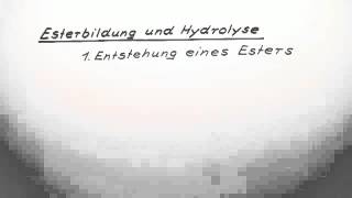 Esterbildung und Hydrolyse  Chemie  Organische Chemie [upl. by Zoilla]