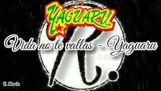 Vida no te Vallas  Los Yaguaru LETRA  Rubén Morón [upl. by Iuqcaj]