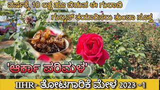 Arka Parimala Rose variety  Usefull for making Gulkand Rose tea Rose water Rose syrup  IIHR [upl. by Uht]