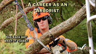 Arborist Careers [upl. by Gudrin]