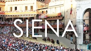 PALIO DI SIENA victoria de L’Oca desde dentro  Viaje a Italia 2024 [upl. by Katz]