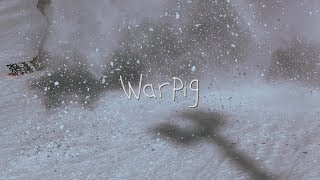 W A R P I G [upl. by Ihel]