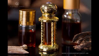 The Special Magic of Agarwood amp Oud Oil [upl. by Zebada]