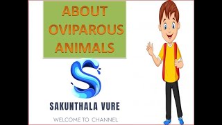 ABOUT OVIPAROUS ANIMALS [upl. by Nodyarb]