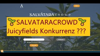 🌱SALVATARACROWD🌱 Juicyfields Konkurrenz [upl. by Stier909]