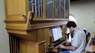 George Martin Theme One on pipe organ [upl. by Stclair409]