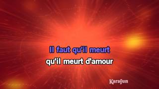 Karaoké Requiem pour un fou Live  Johnny Hallyday [upl. by Emili]