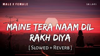 Maine Tera Naam Dil Rakh Diya Slowed  Reverb  Raghav Chaitanya Shreya Ghoshal  SR Lofi [upl. by Anatola]