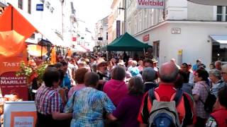 Alles Marille  Das Marillenfest in Krems an der Donau [upl. by Ettezzus]