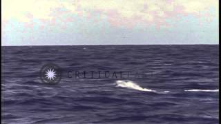 Periscope of the submarine cutting through water as it submerges in the Pacific OHD Stock Footage [upl. by Yentrac448]