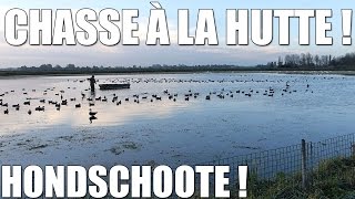 Chasse à la Hutte dans le Nord  Hondschoote   Marius Chasse [upl. by Jorrie]