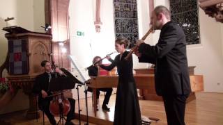 Georg Philipp Telemann  Trio dMoll [upl. by Luiza]