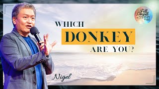 Nigel Which Donkey Are You [upl. by Jacinthe]