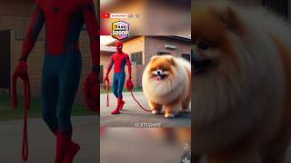 Spiderman gifting a Giant Pomeranian to Supergirl ❤️ brawlstars spiderman marvel dccomics [upl. by Eelac584]