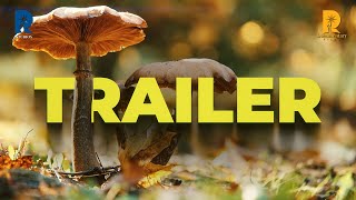 MUSHROOM  A MYSTERIOUS FUNGI I Official Trailer  Documentary Series [upl. by Kimble]